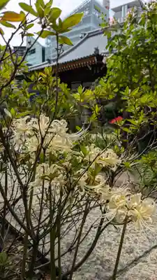 浜本山 源光寺(大阪府)