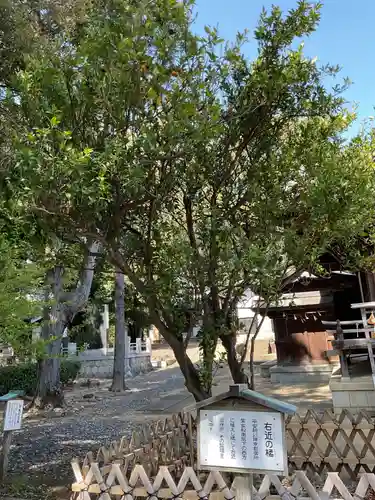 上地八幡宮の庭園