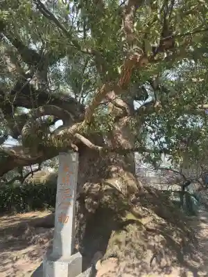 北野天満宮の{uncategorized: "未分類", other: "その他", undefined: "問題あり", building: "その他建物", grave: "お墓", sacred_gate: "鳥居", guardian: "狛犬", statue: "像", buddha: "仏像", history: "歴史", nature: "自然", garden: "庭園", animal: "動物", pagoda: "塔", temizu: "手水舎", mountain_gate: "山門・神門", sanctuary: "本殿・本堂", subordinate: "末社・摂社", art: "芸術", scenery: "景色", jizo: "地蔵", ema: "絵馬", goshuin: "御朱印", omikuji: "おみくじ", items: "授与品その他", amulet: "お守り", goshuincho: "御朱印帳", eats: "食事", festival: "お祭り", votive_dance: "神楽", shichigosan: "七五三参", wedding: "結婚式", experience: "体験その他", initially: "初詣", around: "周辺", anti_infection: "感染症対策"}