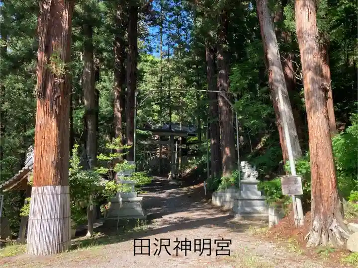 田沢神明宮(長野県)