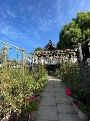 おふさ観音（観音寺）(奈良県)