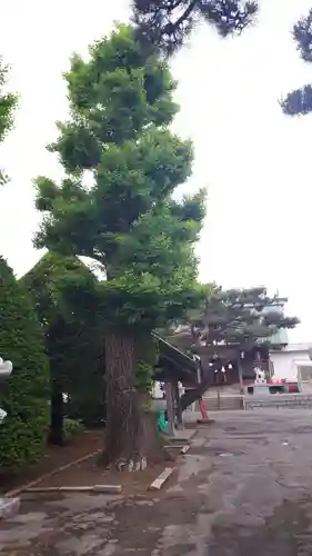 稲荷神社（鍛冶稲荷神社）(北海道)