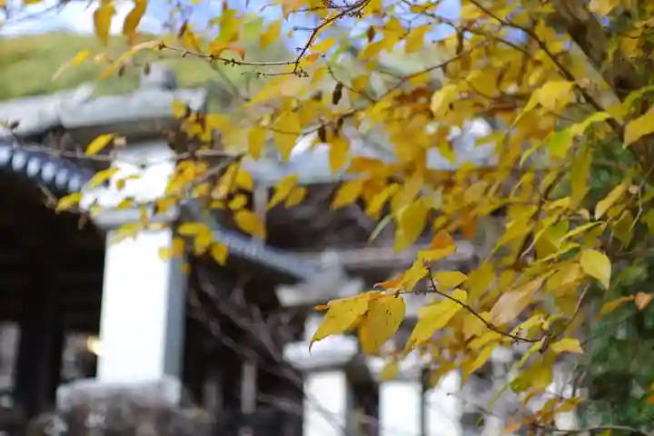 長谷寺(奈良県)