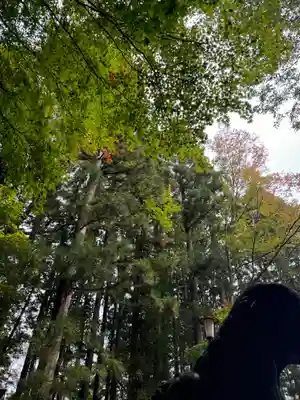 戸隠神社宝光社(長野県)