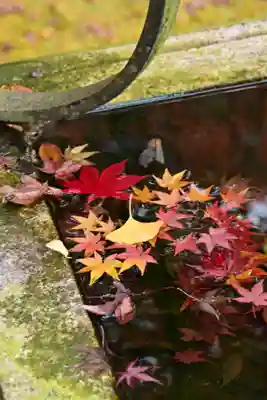 東光寺(滋賀県)