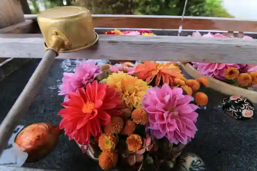 豊景神社の手水舎