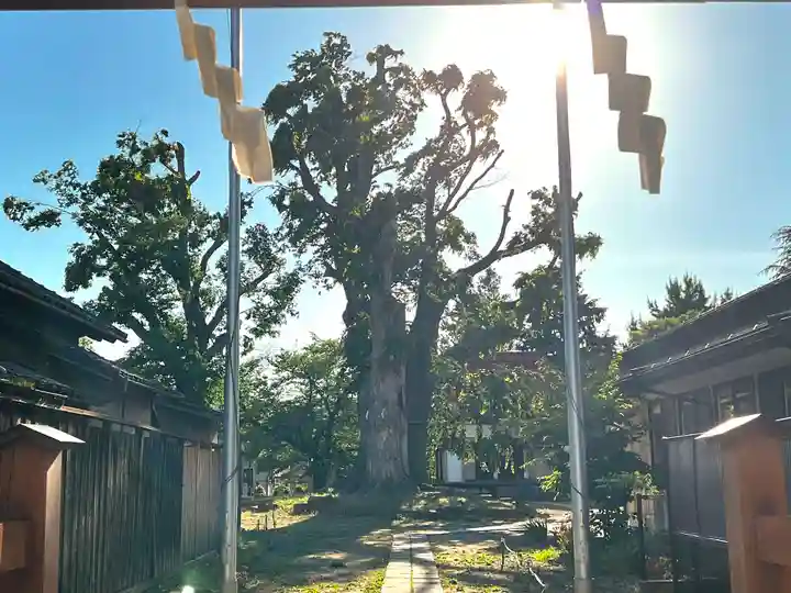 木留神社のその他建物