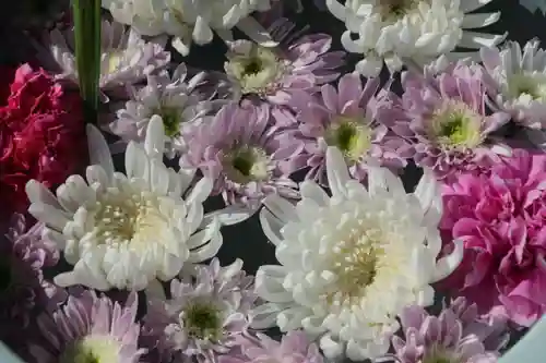 開成山大神宮の手水舎