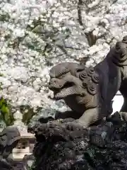 前原御嶽神社の狛犬