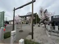 浅沼八幡宮(栃木県)