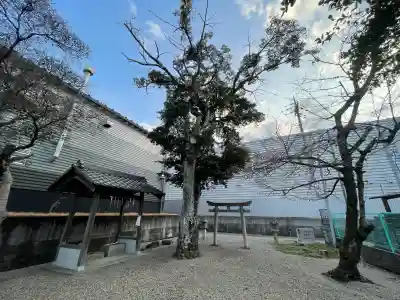 天王神社の{uncategorized: "未分類", other: "その他", undefined: "問題あり", building: "その他建物", grave: "お墓", sacred_gate: "鳥居", guardian: "狛犬", statue: "像", buddha: "仏像", history: "歴史", nature: "自然", garden: "庭園", animal: "動物", pagoda: "塔", temizu: "手水舎", mountain_gate: "山門・神門", sanctuary: "本殿・本堂", subordinate: "末社・摂社", art: "芸術", scenery: "景色", jizo: "地蔵", ema: "絵馬", goshuin: "御朱印", omikuji: "おみくじ", items: "授与品その他", amulet: "お守り", goshuincho: "御朱印帳", eats: "食事", festival: "お祭り", votive_dance: "神楽", shichigosan: "七五三参", wedding: "結婚式", experience: "体験その他", initially: "初詣", around: "周辺", anti_infection: "感染症対策"}
