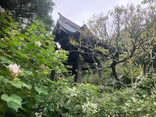 宝戒寺(神奈川県)