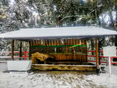 賀茂御祖神社（下鴨神社）の{uncategorized: "未分類", other: "その他", undefined: "問題あり", building: "その他建物", grave: "お墓", sacred_gate: "鳥居", guardian: "狛犬", statue: "像", buddha: "仏像", history: "歴史", nature: "自然", garden: "庭園", animal: "動物", pagoda: "塔", temizu: "手水舎", mountain_gate: "山門・神門", sanctuary: "本殿・本堂", subordinate: "末社・摂社", art: "芸術", scenery: "景色", jizo: "地蔵", ema: "絵馬", goshuin: "御朱印", omikuji: "おみくじ", items: "授与品その他", amulet: "お守り", goshuincho: "御朱印帳", eats: "食事", festival: "お祭り", votive_dance: "神楽", shichigosan: "七五三参", wedding: "結婚式", experience: "体験その他", initially: "初詣", around: "周辺", anti_infection: "感染症対策"}