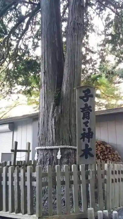 新倉富士浅間神社のその他建物