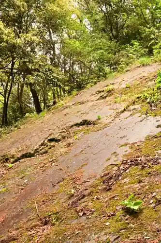 武蔵二宮 金鑚神社(埼玉県)