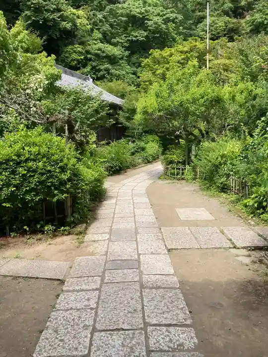 黄梅院(円覚寺塔頭)(神奈川県)