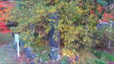 東漸寺のその他建物