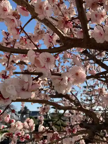 正眼寺(愛知県)
