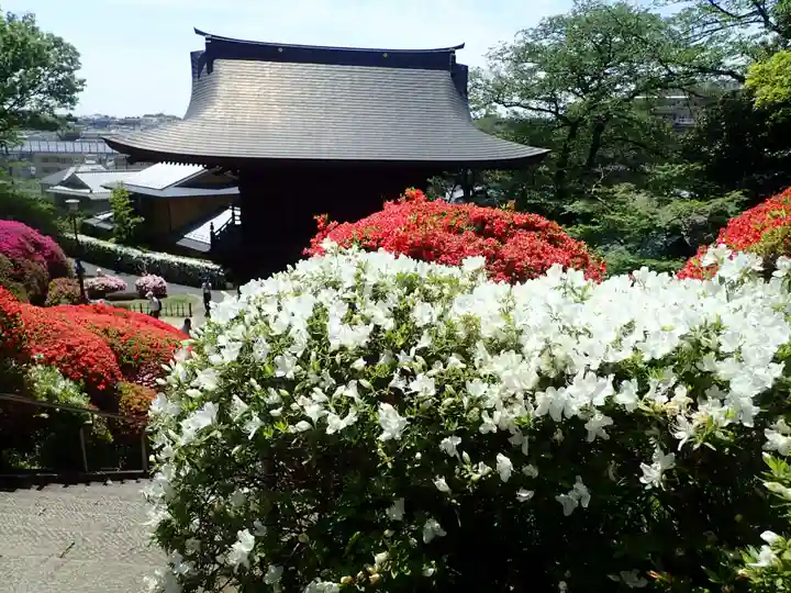 等覚院の御朱印