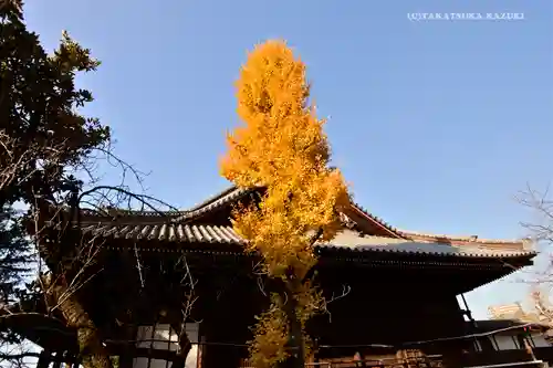 寛永寺(根本中堂)の本殿・本堂