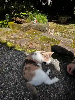 かっぱの寺 栖足寺(静岡県)