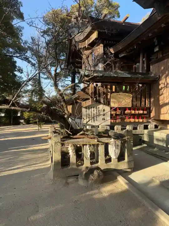産宮神社の{uncategorized: "未分類", other: "その他", undefined: "問題あり", building: "その他建物", grave: "お墓", sacred_gate: "鳥居", guardian: "狛犬", statue: "像", buddha: "仏像", history: "歴史", nature: "自然", garden: "庭園", animal: "動物", pagoda: "塔", temizu: "手水舎", mountain_gate: "山門・神門", sanctuary: "本殿・本堂", subordinate: "末社・摂社", art: "芸術", scenery: "景色", jizo: "地蔵", ema: "絵馬", goshuin: "御朱印", omikuji: "おみくじ", items: "授与品その他", amulet: "お守り", goshuincho: "御朱印帳", eats: "食事", festival: "お祭り", votive_dance: "神楽", shichigosan: "七五三参", wedding: "結婚式", experience: "体験その他", initially: "初詣", around: "周辺", anti_infection: "感染症対策"}