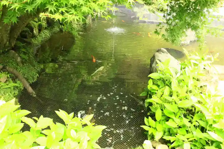 報国寺(神奈川県)