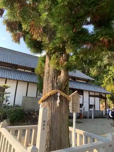 村國神社の自然