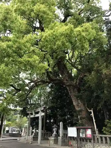 比木神社の鳥居