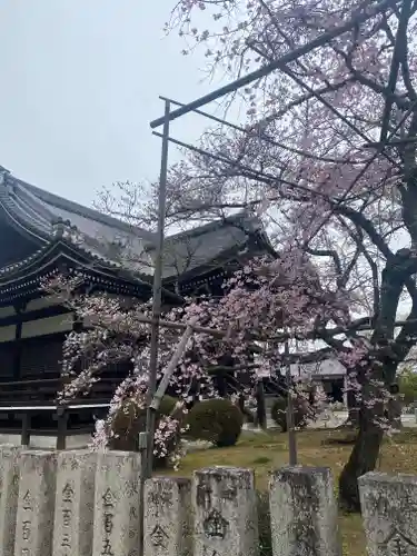 橘寺の庭園