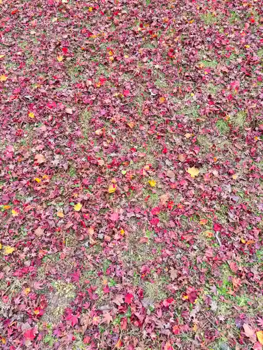 日吉大社の{uncategorized: "未分類", other: "その他", undefined: "問題あり", building: "その他建物", grave: "お墓", sacred_gate: "鳥居", guardian: "狛犬", statue: "像", buddha: "仏像", history: "歴史", nature: "自然", garden: "庭園", animal: "動物", pagoda: "塔", temizu: "手水舎", mountain_gate: "山門・神門", sanctuary: "本殿・本堂", subordinate: "末社・摂社", art: "芸術", scenery: "景色", jizo: "地蔵", ema: "絵馬", goshuin: "御朱印", omikuji: "おみくじ", items: "授与品その他", amulet: "お守り", goshuincho: "御朱印帳", eats: "食事", festival: "お祭り", votive_dance: "神楽", shichigosan: "七五三参", wedding: "結婚式", experience: "体験その他", initially: "初詣", around: "周辺", anti_infection: "感染症対策"}