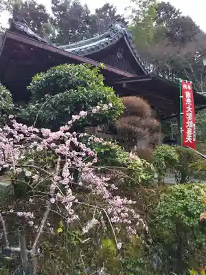山科聖天 雙林院(双林院) (京都府)