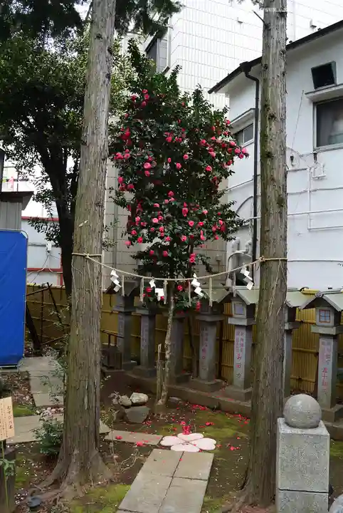 くまくま神社(導きの社 熊野町熊野神社)(東京都)