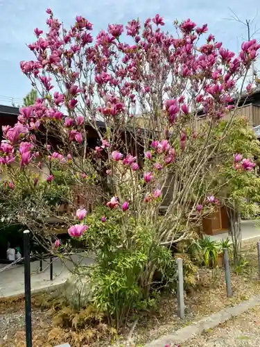 京都乃木神社の庭園