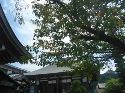 妙長寺のその他建物