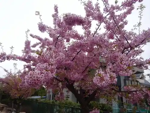 大本山高林寺の自然