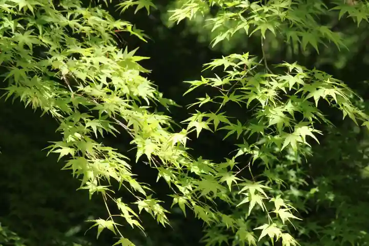 国宝 大法寺(長野県)