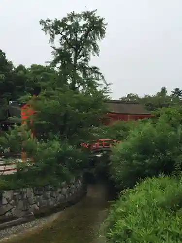 賀茂御祖神社（下鴨神社）の景色