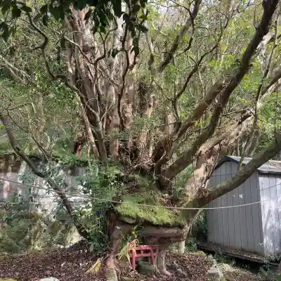 権現坂祠(神奈川県)