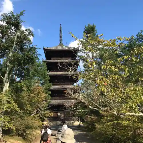 仁和寺の塔