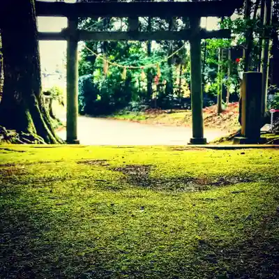 國土神社の鳥居