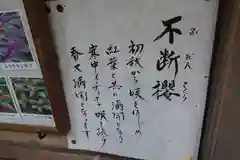 実光院の御朱印