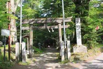 諏訪神社(長野県)