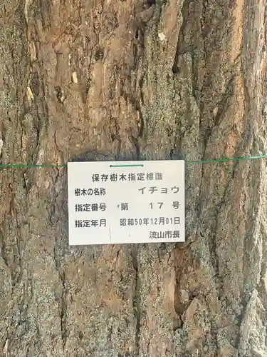 清瀧院(千葉県)