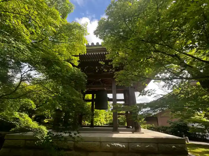 智積院の{uncategorized: "未分類", other: "その他", undefined: "問題あり", building: "その他建物", grave: "お墓", sacred_gate: "鳥居", guardian: "狛犬", statue: "像", buddha: "仏像", history: "歴史", nature: "自然", garden: "庭園", animal: "動物", pagoda: "塔", temizu: "手水舎", mountain_gate: "山門・神門", sanctuary: "本殿・本堂", subordinate: "末社・摂社", art: "芸術", scenery: "景色", jizo: "地蔵", ema: "絵馬", goshuin: "御朱印", omikuji: "おみくじ", items: "授与品その他", amulet: "お守り", goshuincho: "御朱印帳", eats: "食事", festival: "お祭り", votive_dance: "神楽", shichigosan: "七五三参", wedding: "結婚式", experience: "体験その他", initially: "初詣", around: "周辺", anti_infection: "感染症対策"}