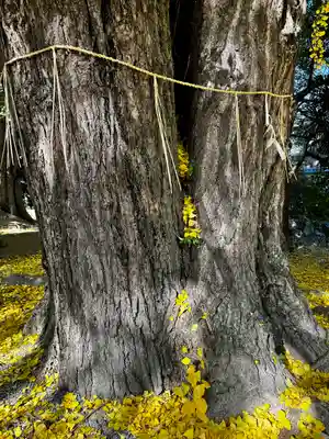 三栖神社(京都府)