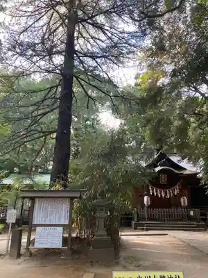 氷川女體神社(埼玉県)