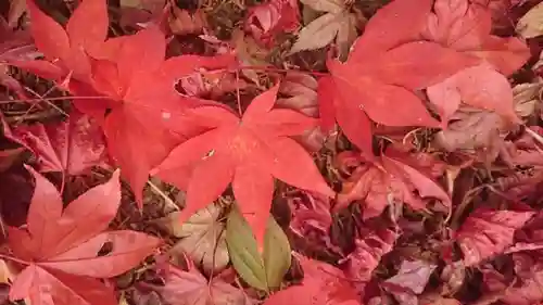 水使神社の自然