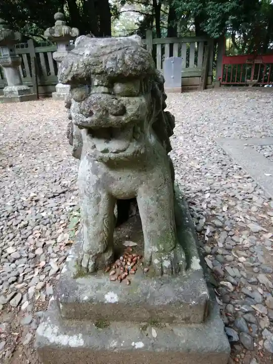 仙波東照宮(埼玉県)