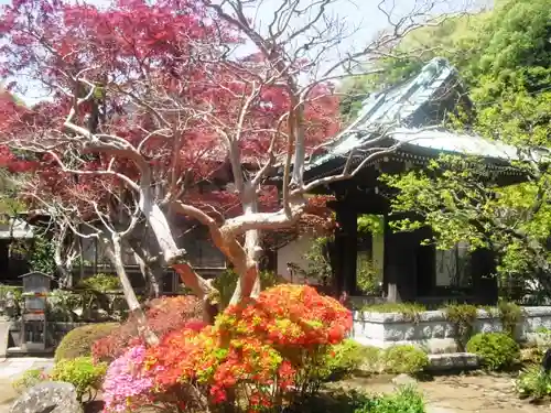 海蔵寺の庭園